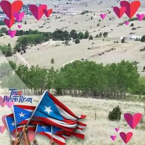 Meet your Posher, Elizabeth a